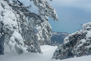 Similar image 21228109