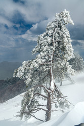 Similar image 21217329