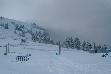 Similar image 21217332