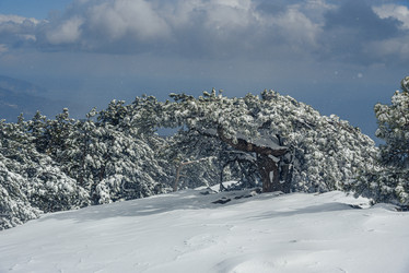 Similar image 21228113