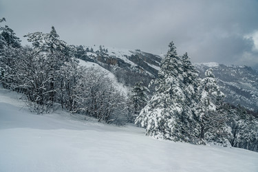 Similar image 21239708