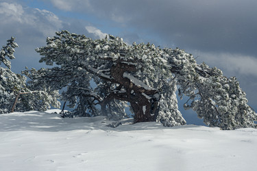 Similar image 21239709