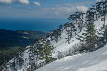 Similar image 21217335