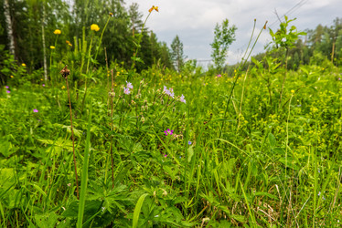 Similar image 21223208