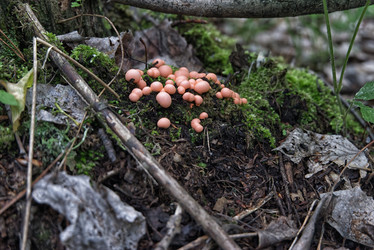 Similar image 21223209