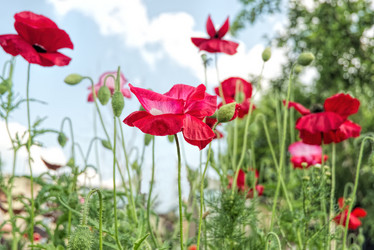 Similar image 21223211