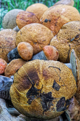 Similar image 21223212