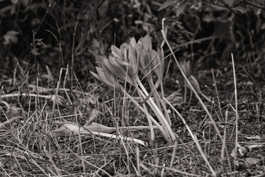 Similar image 21223213