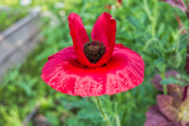 Similar image 21223214