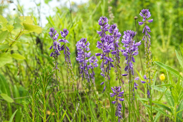 Similar image 21223215