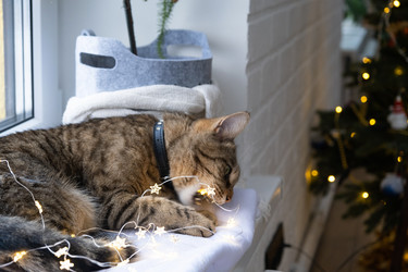 Similar image 21214286