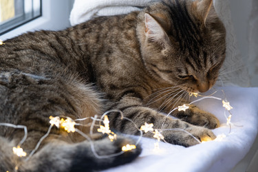 Similar image 21214287