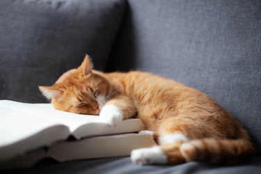 Similar image 21215786