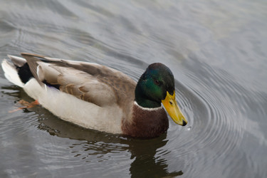 Similar image 21214916