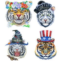 Similar image 21242288