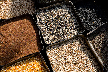 Similar image 21213701