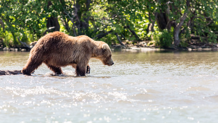 Similar image 21213707