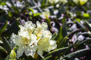 Similar image 21213711