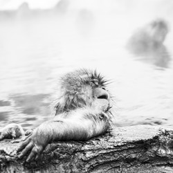 Similar image 21213716