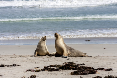 Similar image 21213737