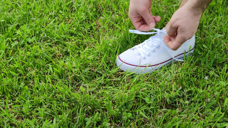 Similar image 21241725