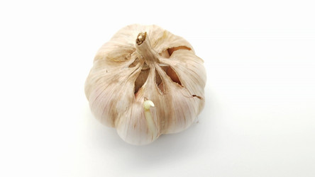 Similar image 21241156