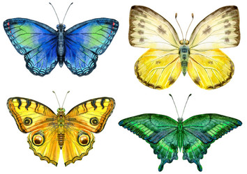 Similar image 21222735