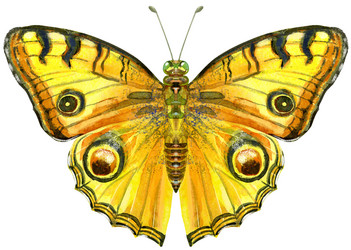 Similar image 21222921