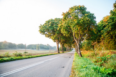 Similar image 21218662