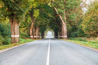 Similar image 21218663