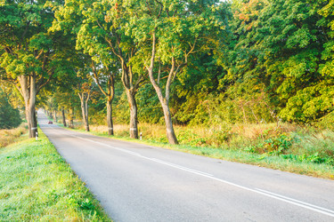 Similar image 21242002