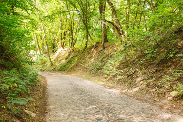 Similar image 21242008