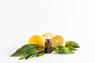 Similar image 21213510