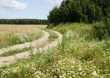 Similar image 21246161