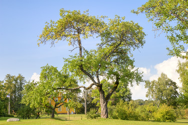 Similar image 21216439