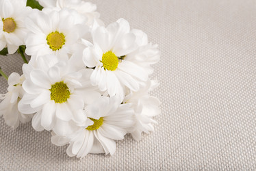 Similar image 21213748