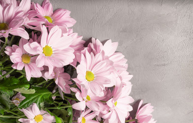 Similar image 21213750