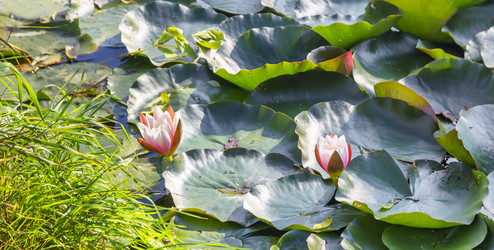 Similar image 21216440