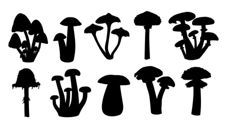 Similar image 21213753