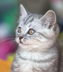 Similar image 21216445