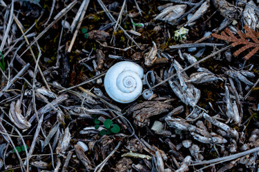 Similar image 21214927