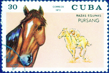 Similar image 21251820