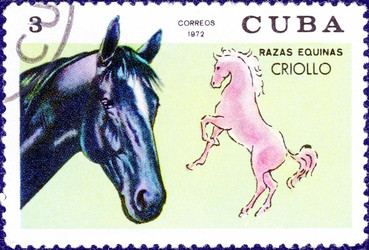 Similar image 21251821