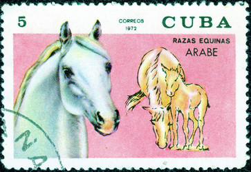 Similar image 21251824