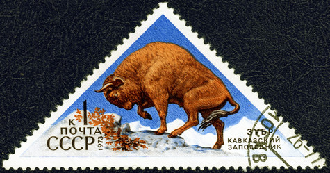 Similar image 21240667