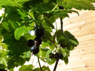 Similar image 21240668