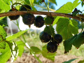 Similar image 21239715