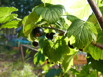 Similar image 21239716