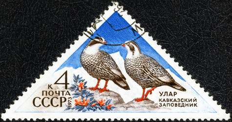 Similar image 21239717