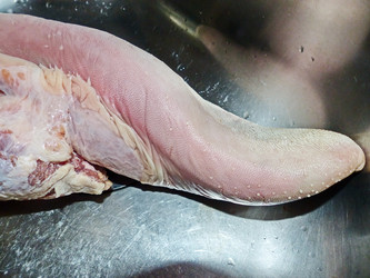 Similar image 21257261